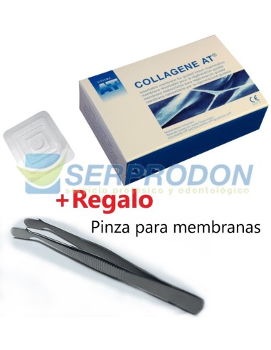 COLLAGENE AT  MEMBRANA REABSORBIBLE 6 Unidades.