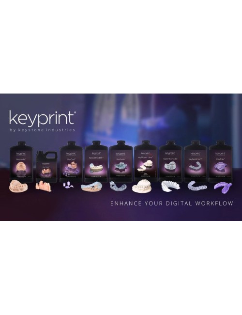 Resina 3D Keyprint Keymodel